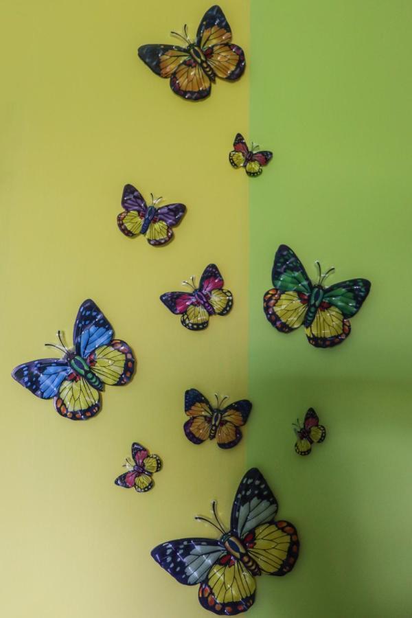 B&B Il Giardino Dei Sogni Santa Domenica Talao Εξωτερικό φωτογραφία