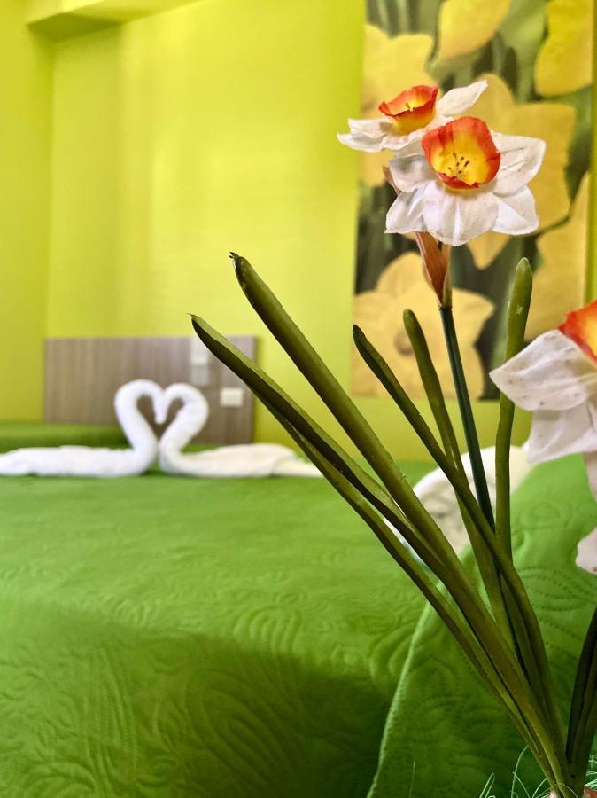 B&B Il Giardino Dei Sogni Santa Domenica Talao Εξωτερικό φωτογραφία